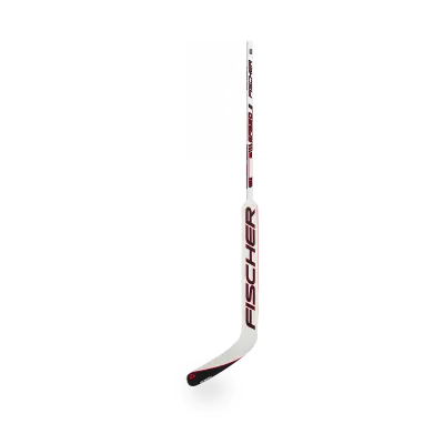 Fischer GF550 Senior Goalie Stick showing Glass Fiber Carbon blade and dual-layer Aspenwood paddle, 890 g senior construction.